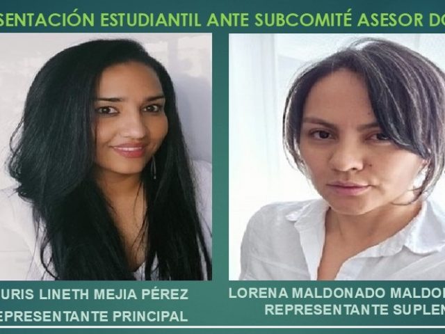 REPRESENTACIÓN ESTUDIANTIL ANTE SUBCOMITÉ ASESOR DOCISP